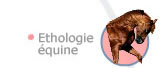 thologie quine